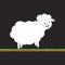 The goal of Rattlin' Sheep is to keep Greg the sheep grazing in his pasture