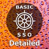 Basic. SSO Detailed CES Test