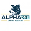 Alpha One Canine Academy