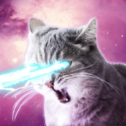 Laser Cats Animated