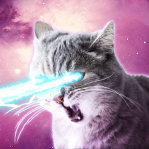 Laser Cats Animated iOS App