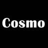 Cosmo Car Service