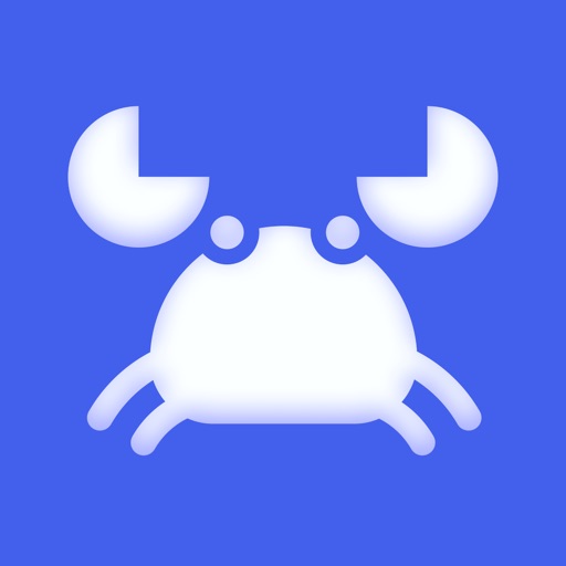 Storm Sniffer - Packet Capture iOS App