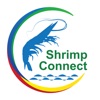 CPF Shrimp Connect