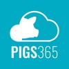 PIGS365