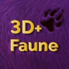 3DFAUNE