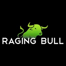 Raging Bulls