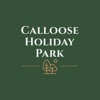 Calloose Holiday Park UK