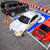 Car Parking Driving School Sim