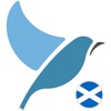 Bluebird: Learn Scots Gaelic