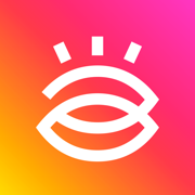 Story Viewer & Saver - InLook