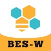 BES-W
