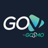 Gosmo Vision Pro