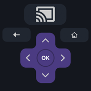 Roku Remote & Cast