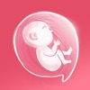 Pregnancy: Baby Growth Tracker