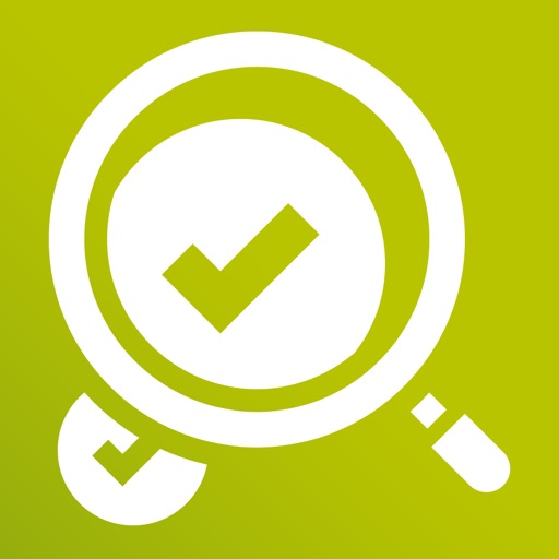 mQuest Audit Download