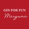 Gin For Fun