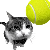  Cat Tennis - Meme Game Alternatives