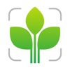 Icon Leaf Identification Plant ID