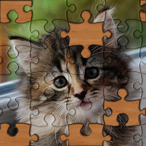 Jigsaw Puzzles! Icon