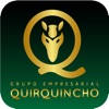 Grupo Empresarial Quirquincho