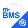 m-BMS