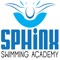 sphinx academy manager app