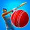 Cricket League