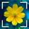 Icon What Flower - Plant Identifier