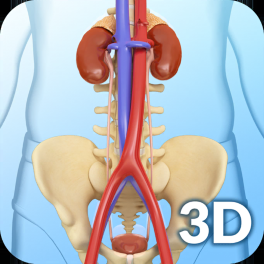 Get Urinary System for iOS, iPhone, iPad Aso Report