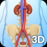 Get Urinary System for iOS, iPhone, iPad Aso Report