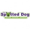 The Spotted Dog - Jersey