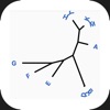 Phylogenetic Tree Draw