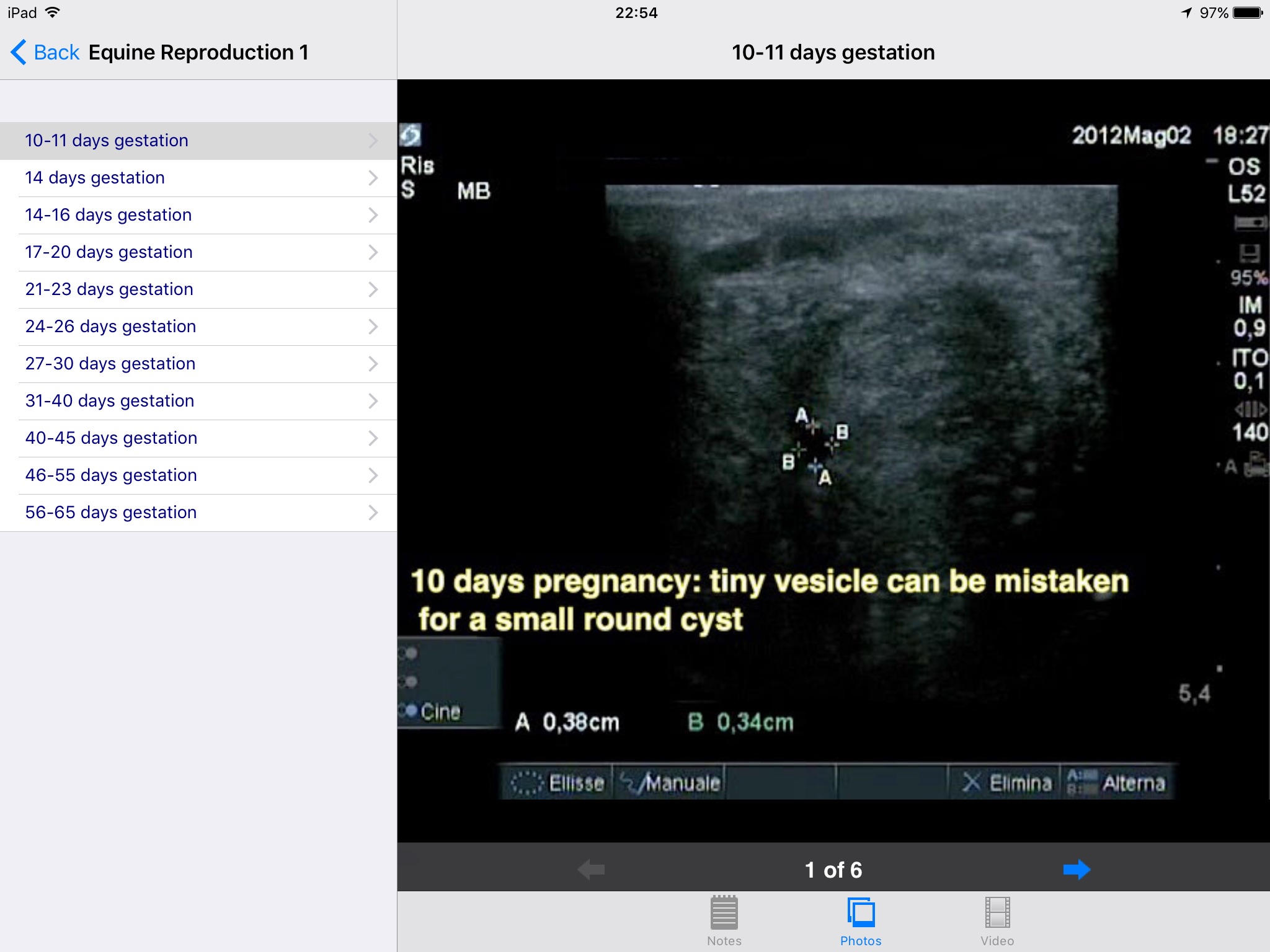Equine Reproductive Ultrasound screenshot 4