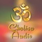 This application brings the best Collection of Hindu Gods Chalisa