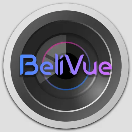 BeliVue Viewer Cheats