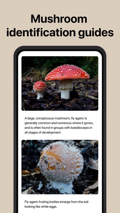 Picture Mushroom: Fungi finder screenshot 4