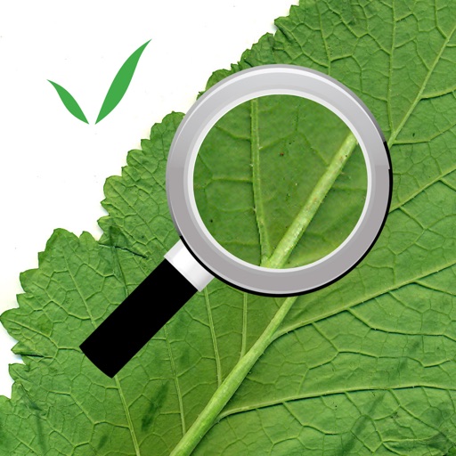 FarmQA Scouting Download