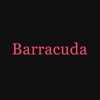 Barracuda