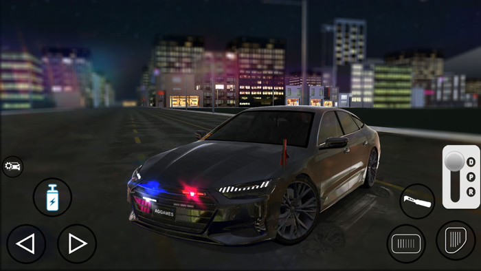 Real Car Driving School