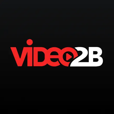 Video2b-Wholesale&Manufacturer Cheats