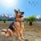 Are you a farm person or live in sheep, goat country, Play the sheepherder in this dog shepherd simulation