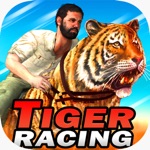 Tiger Racing  Simulator Race