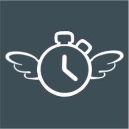 Flyback Timer