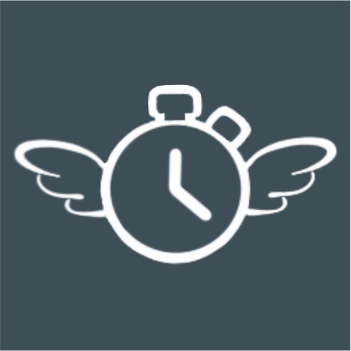 Flyback Timer