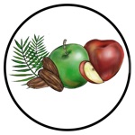 תפוחים ותמרים בוטיק פרי וירק