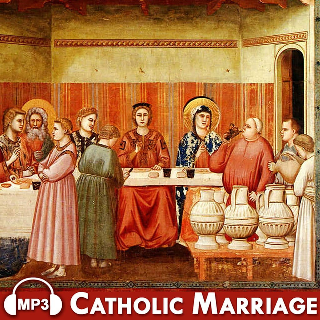 Get Audio Catholic Marriage for iOS, iPhone, iPad Aso Report