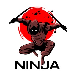 Little Ninja Stickers