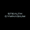Training at Stealth