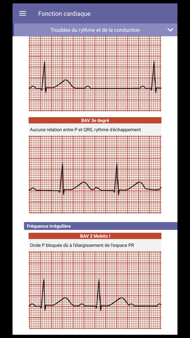 Le Guide IADE screenshot 4